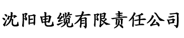 《完美秘书》电缆厂logo